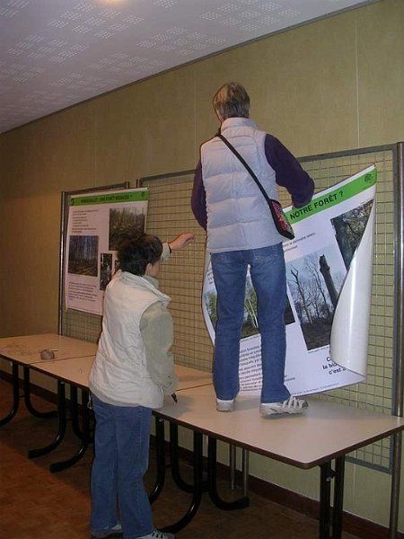 Expo champignons a St Leger 15